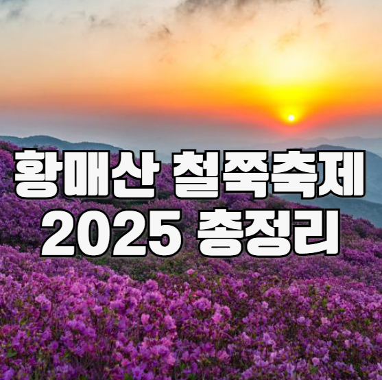 황매산 철쭉축제 2025 총정리
