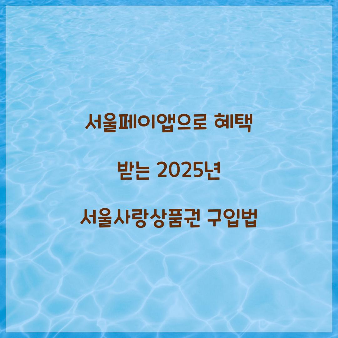서울페이앱