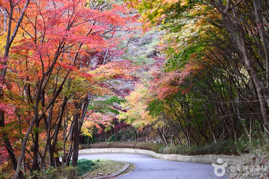 화순 가볼만한곳 베스트10