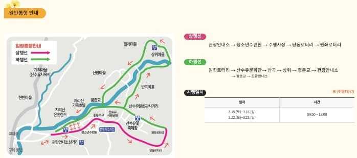 구례 산수유축제