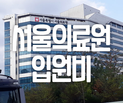서울의료원 입원비