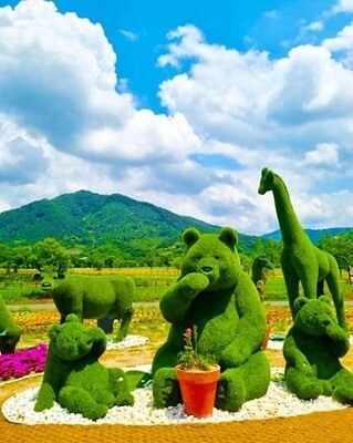 포천 한탄강 가든페스타