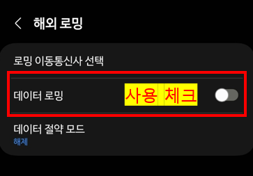 데이터 로밍 사용