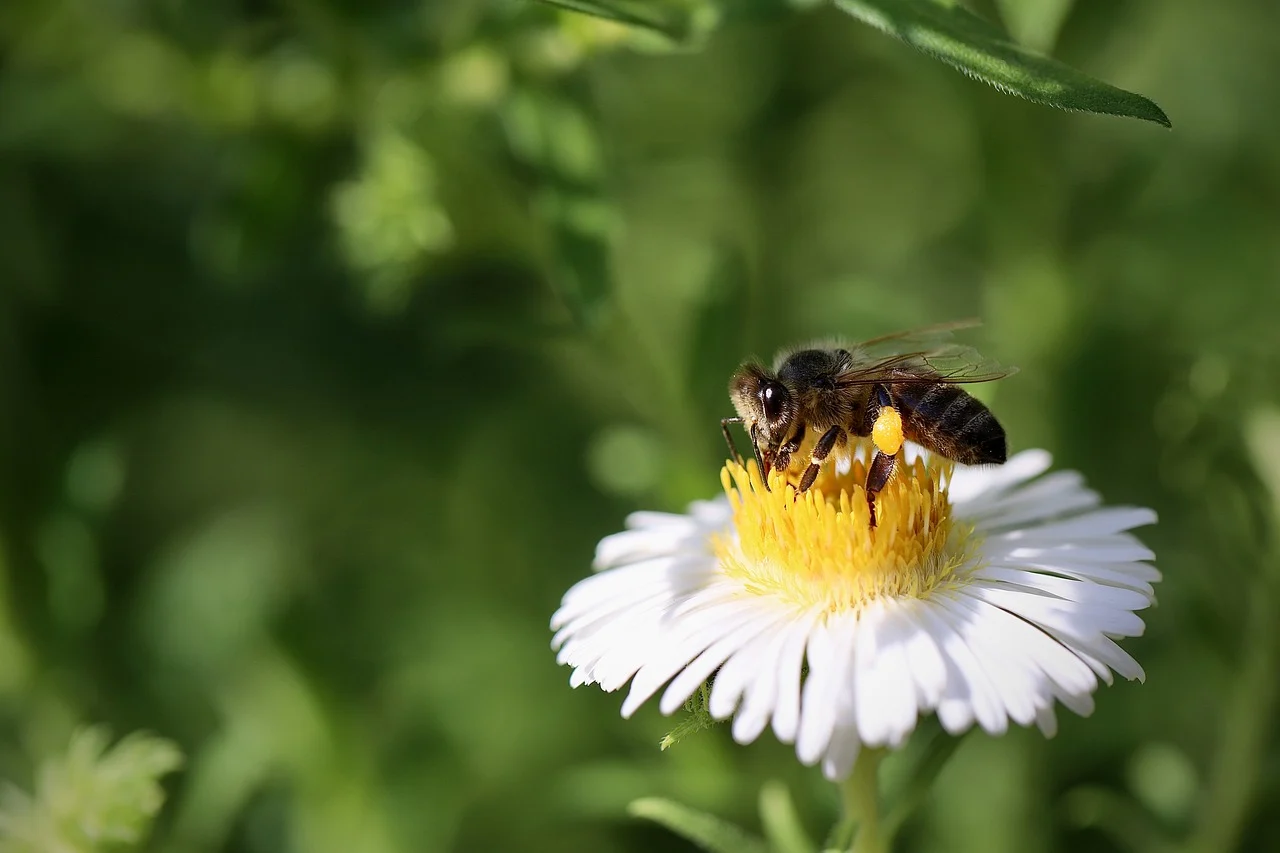 인터넷 이전 직접 설치