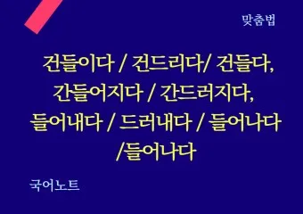 드러내다 들어내다 맞춤법 표현 예문_17