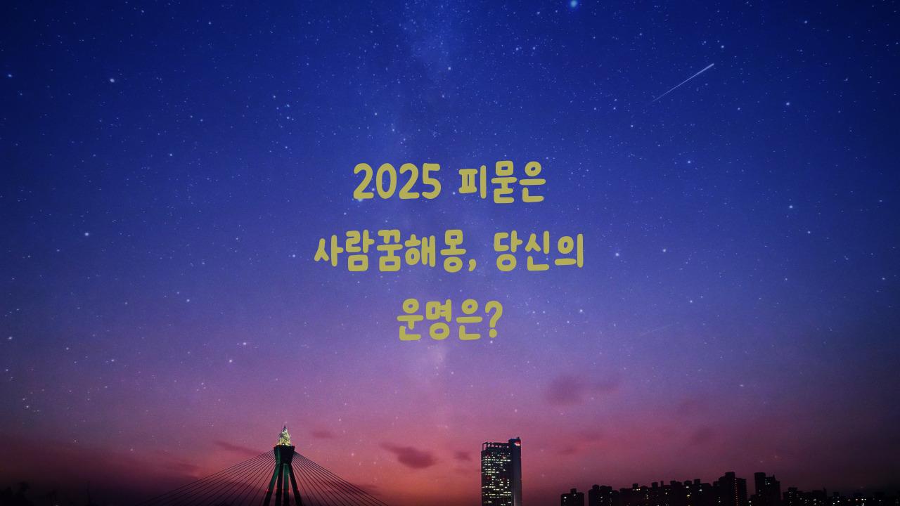 2025 피묻은 사람꿈해몽