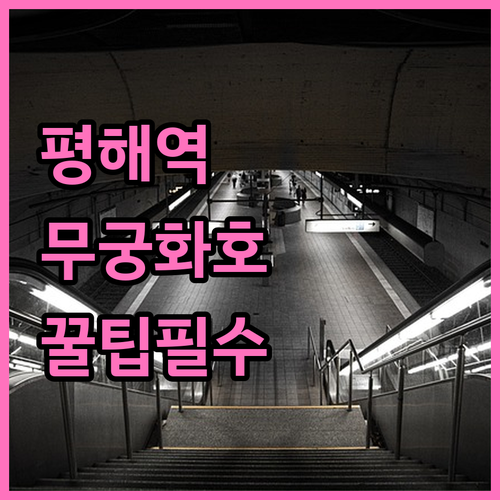 울진 평해역 무궁화호 시간표와 승차권..