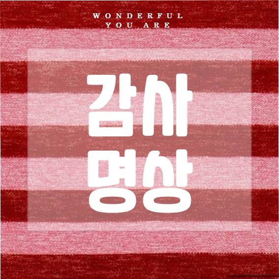 감사 명상 완벽 가이드: 마음을 채우는 실용적 방법