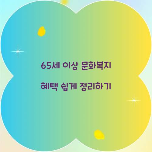 65세 이상 문화복지