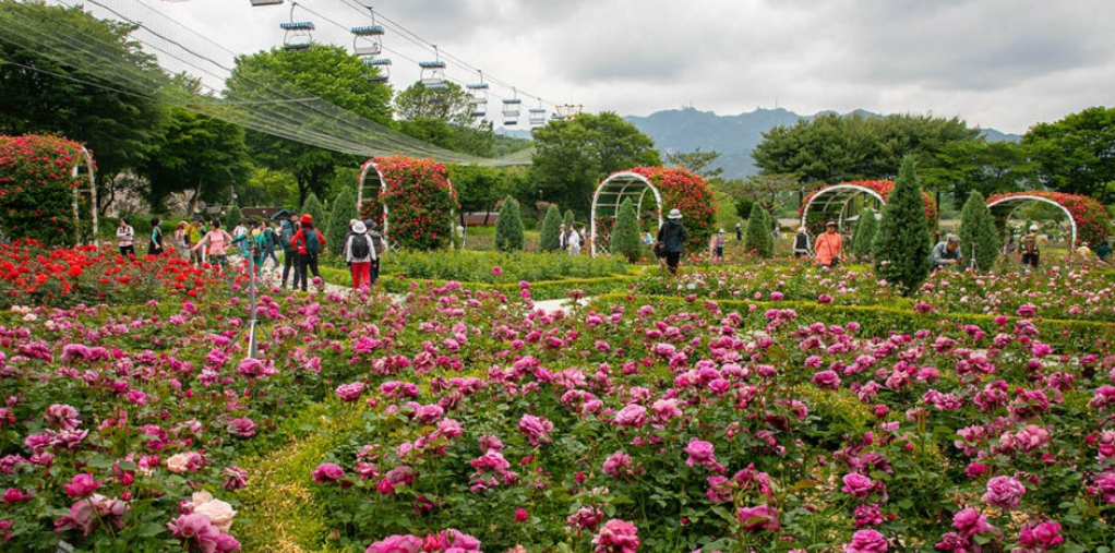 과천 서울대공원 사진