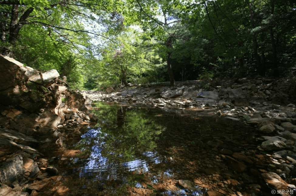 보은군 만수계곡