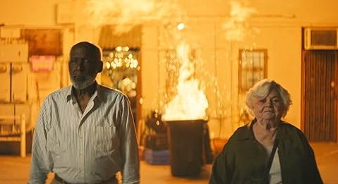 미국 코미디 드라마 영화다시보기추천 델마 포스트의 화려한 외출 결말 후기 리뷰 - 호평과 혹평