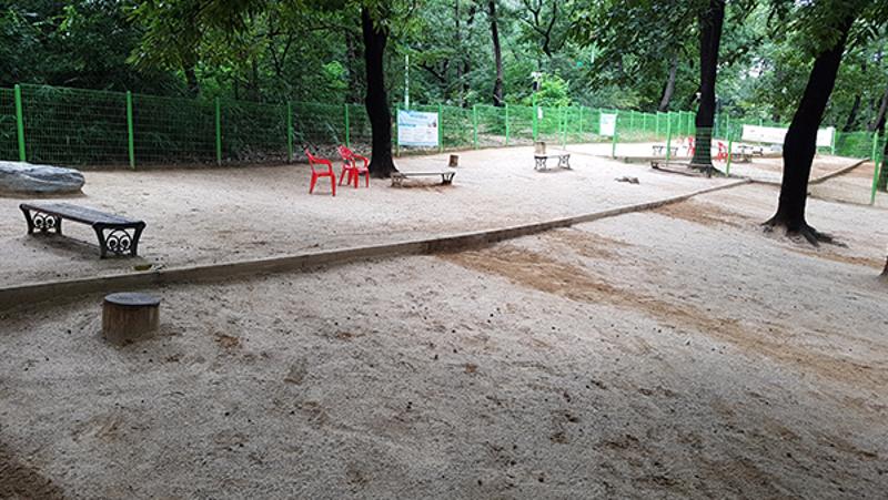 어린이대공원 반려견 놀이터