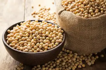 신장에 좋은 음식&amp;#44; 나쁜 음식