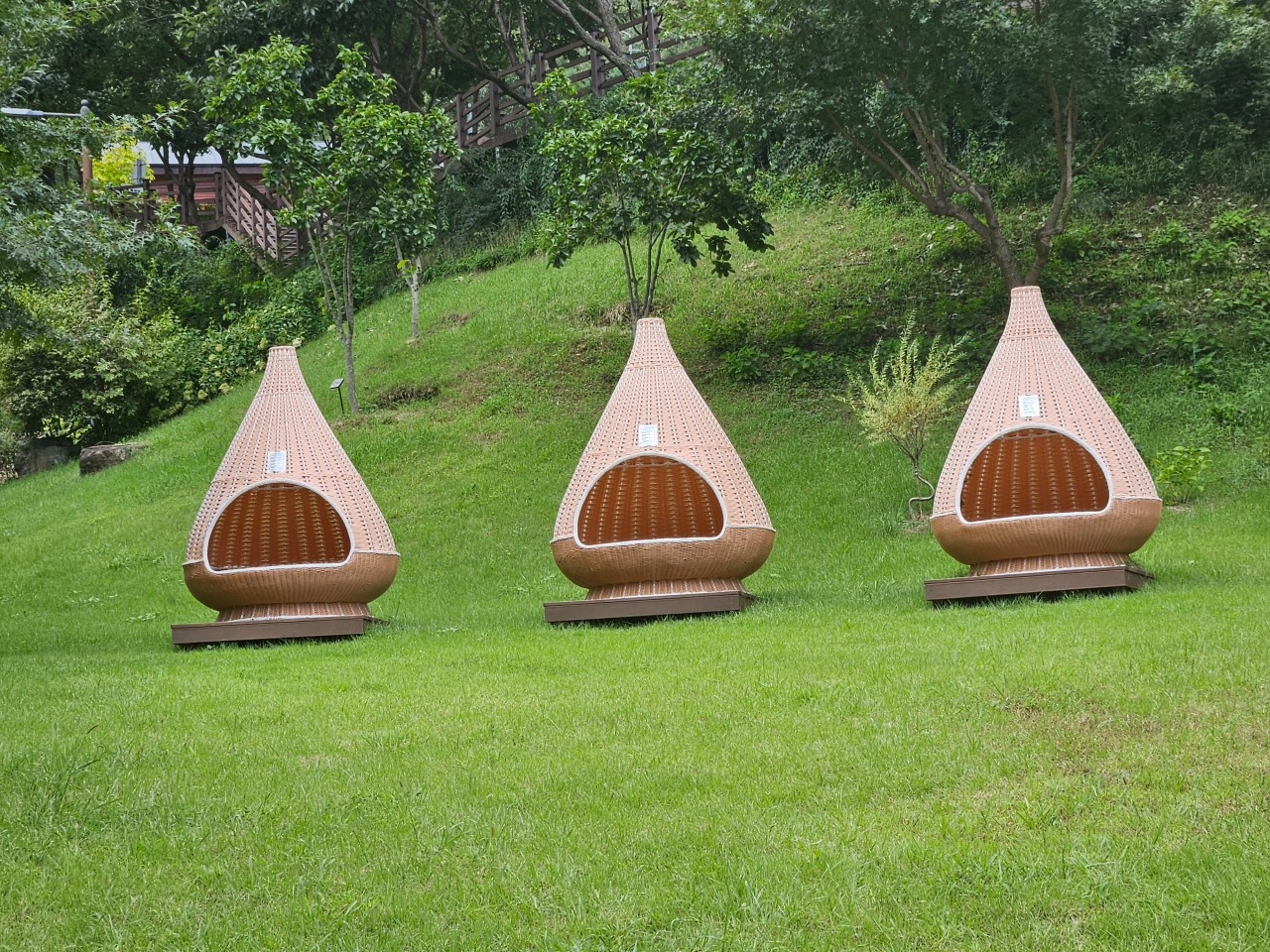 공공 우수야영장