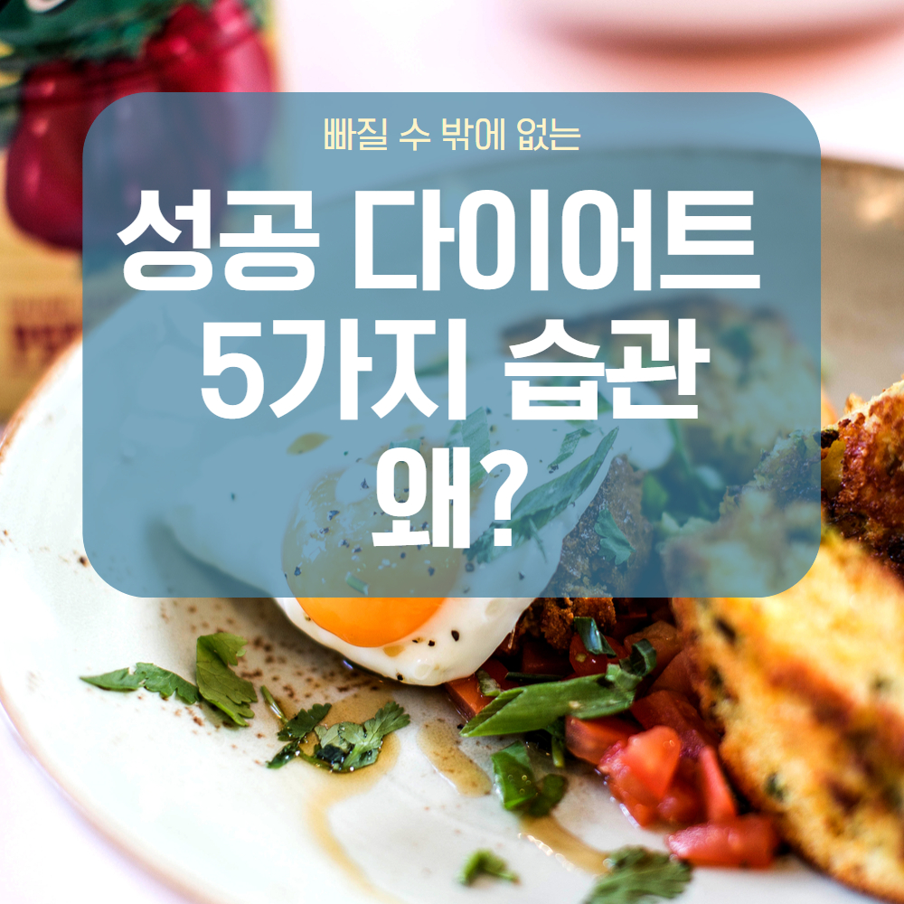 성공 다이어트 습관 5가지