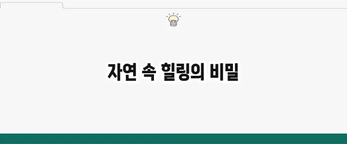 국립 생태탐방원 예약 및 후기: 자연 속 힐링 여행