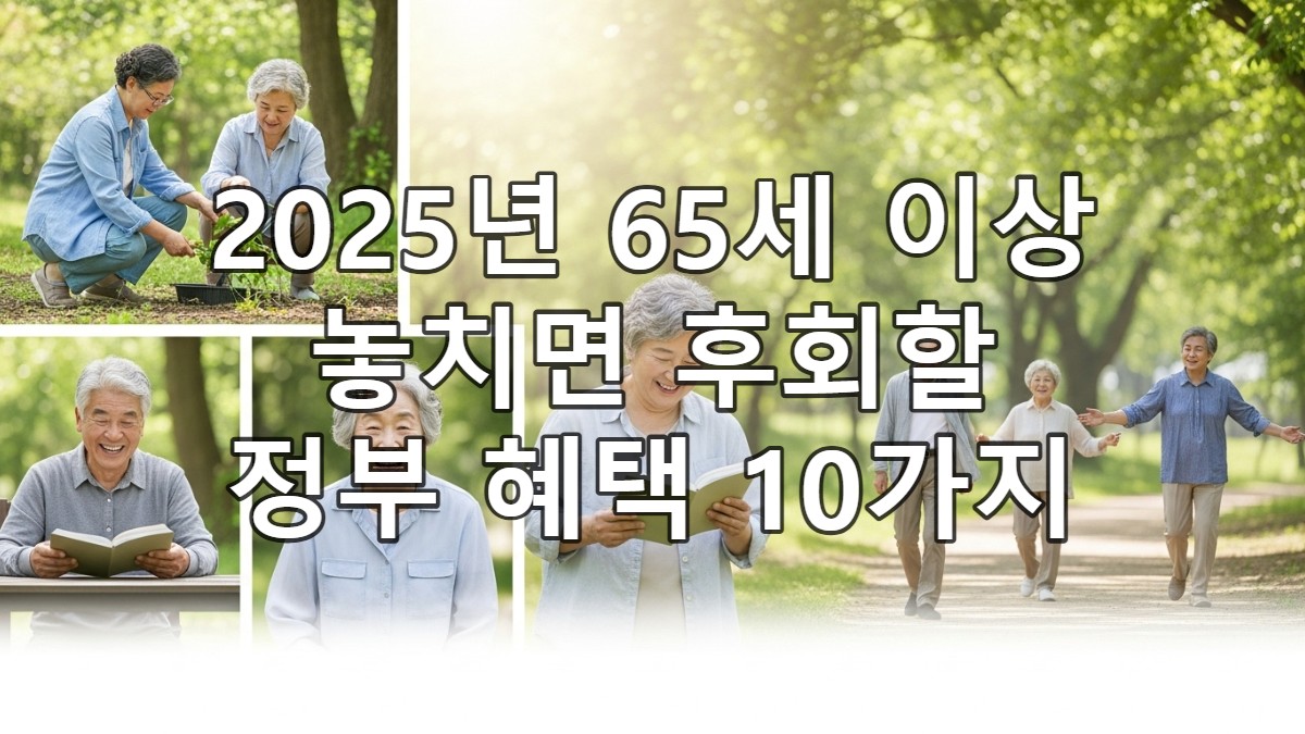 65세 이상 정부지원 혜택, 2025년 놓치면 후회할 10가지 총정리!