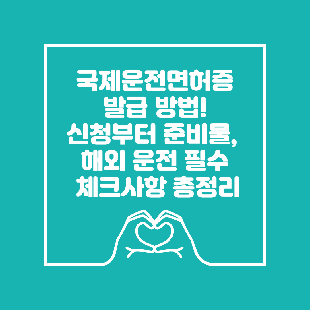 국제운전면허증 발급 방법! 신청부터 준비물 이미지