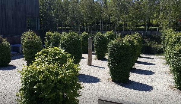 한국 조경의 선구자, 정영선_선유도