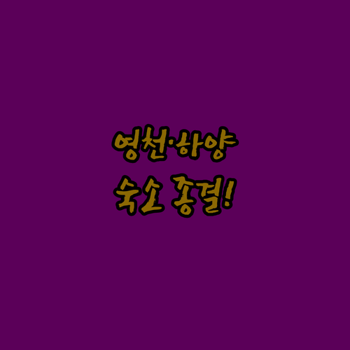 영천역 근처와 하양 지역 숙박 추천 ..