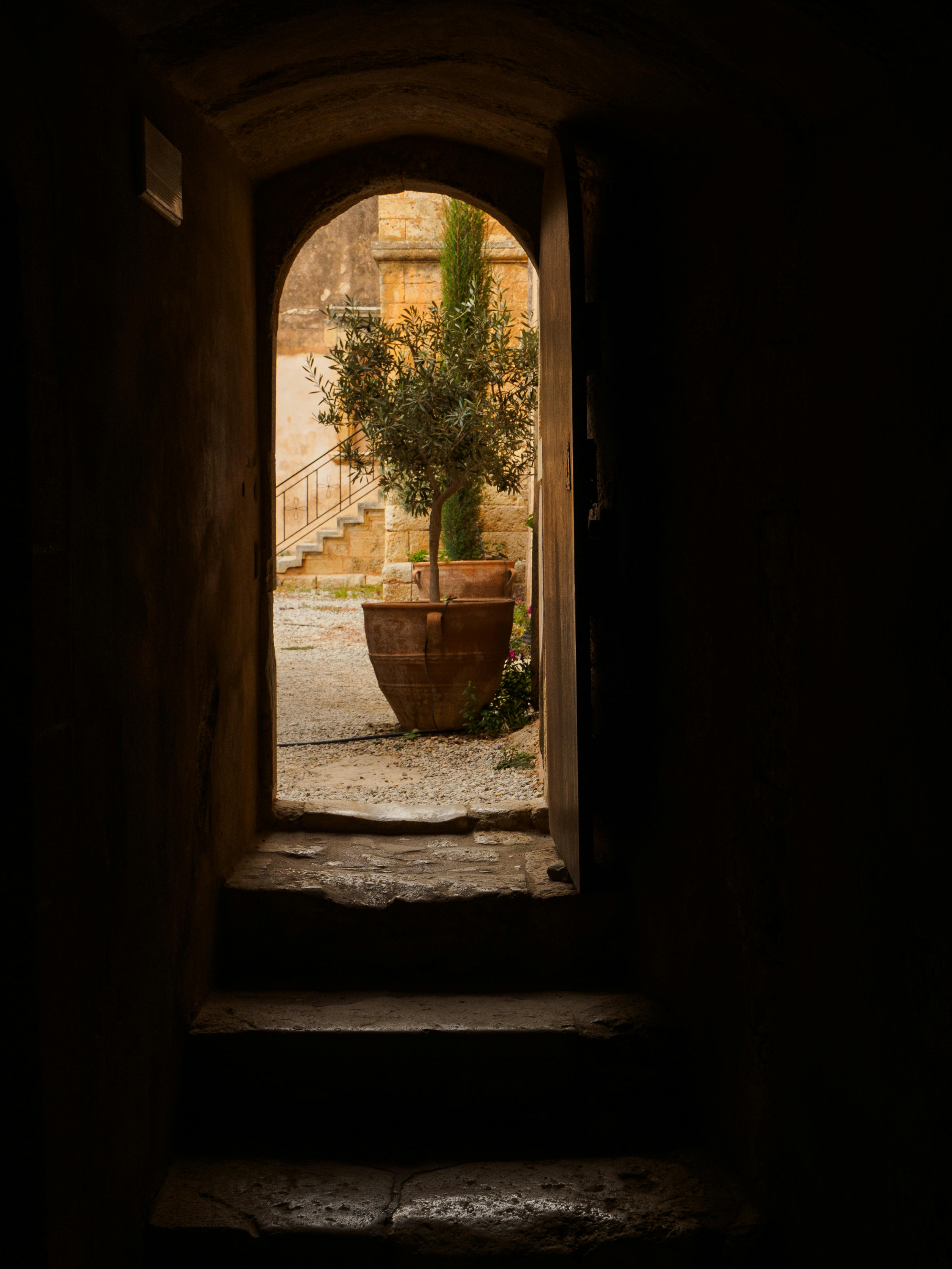 피망 뉴맞고 바로가기 게임 설치 다운로드 업데이트 방법 및 게임소식 요약