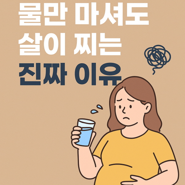 물만 마셔도 살이 찌는 진짜 이유/GPT