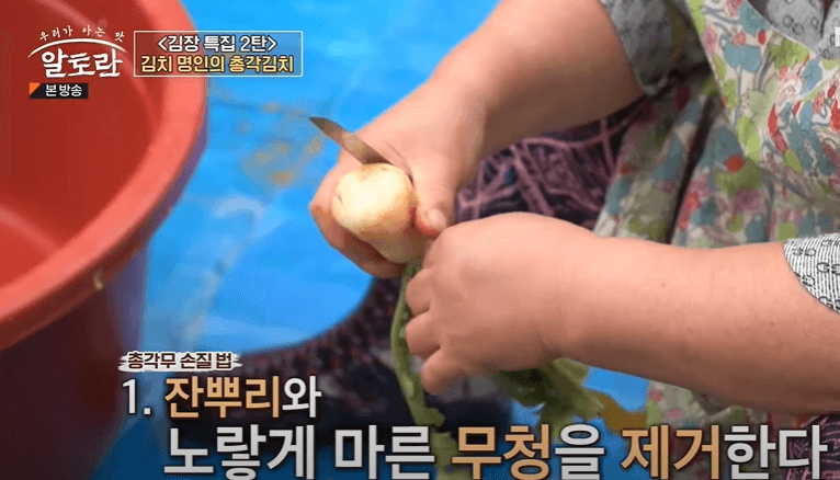 알타리 김치 총각김치 맛있게 담는법
