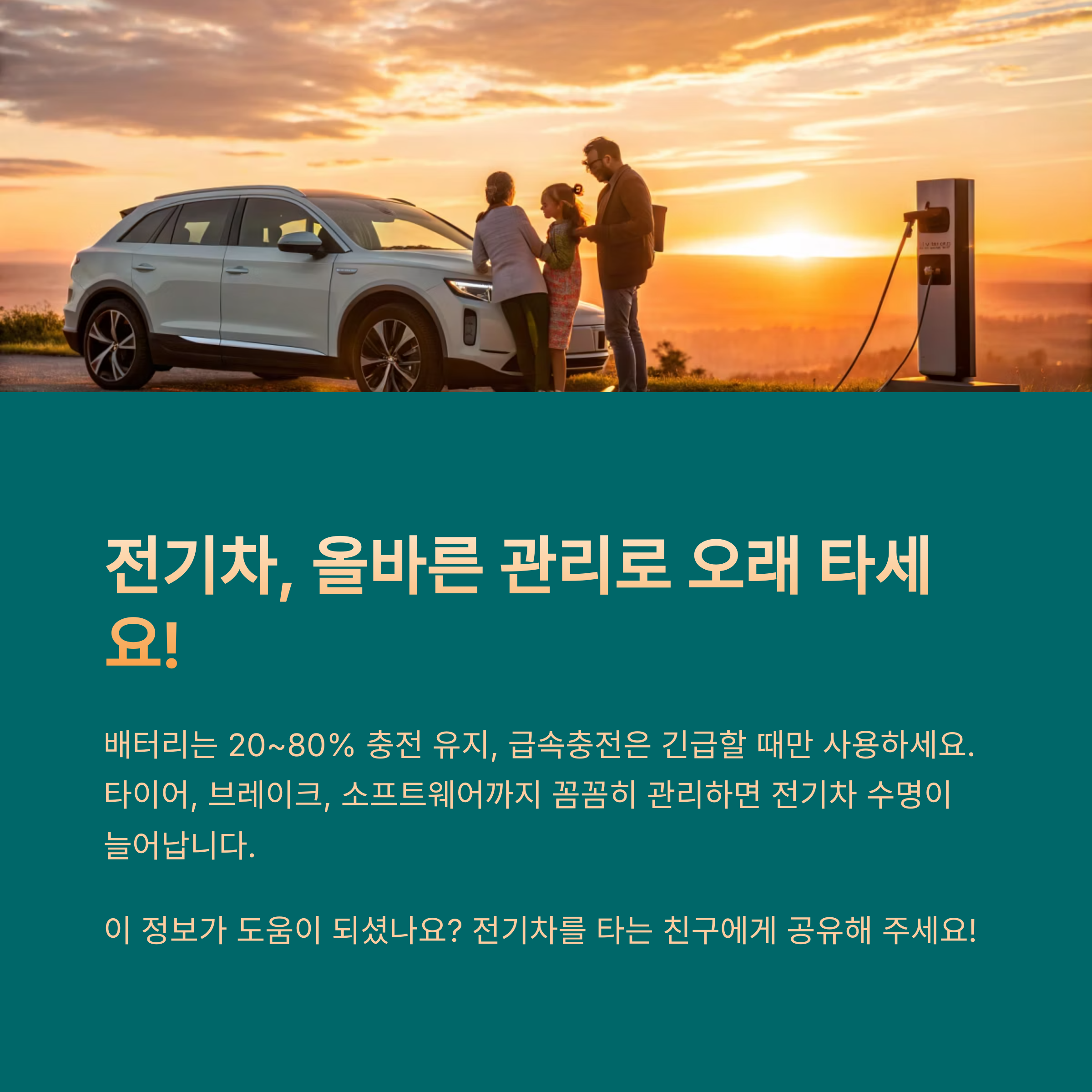 전기차 관리법