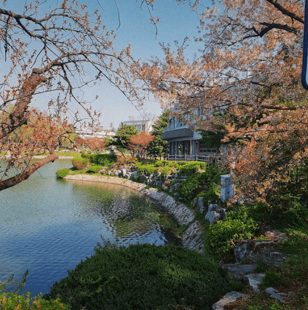 2026 정시 원서접수 일정&middot;방법 한눈에 정리