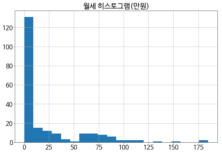 월세-히스토그램-출력-결과