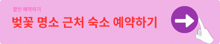 일본벚꽃개화시기