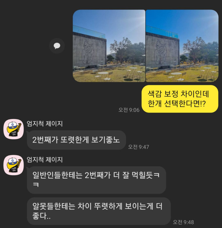 사진 비교 응답 4