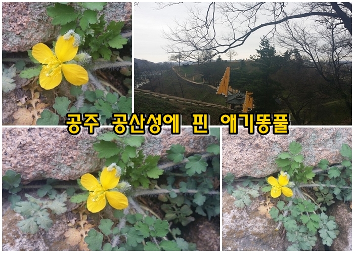공주 공산성 여행