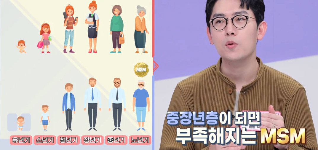 msm의 효능