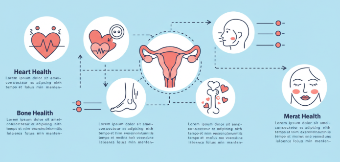 여성호르몬과 건강의 관계를 보여주는 다이어그램