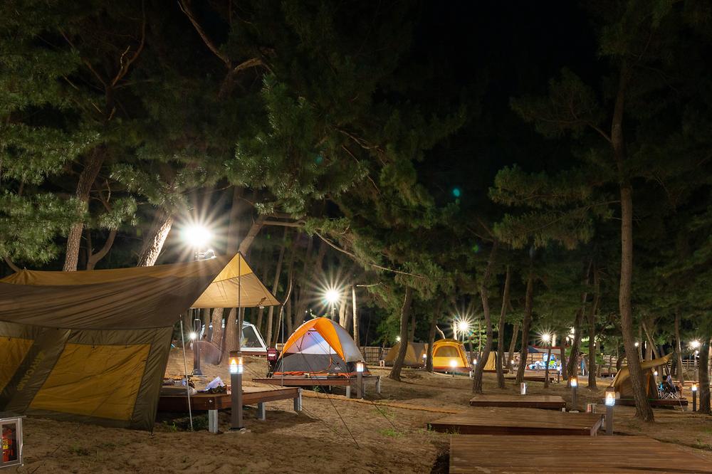 강원도 삼척 맹방비치캠핑장 소개