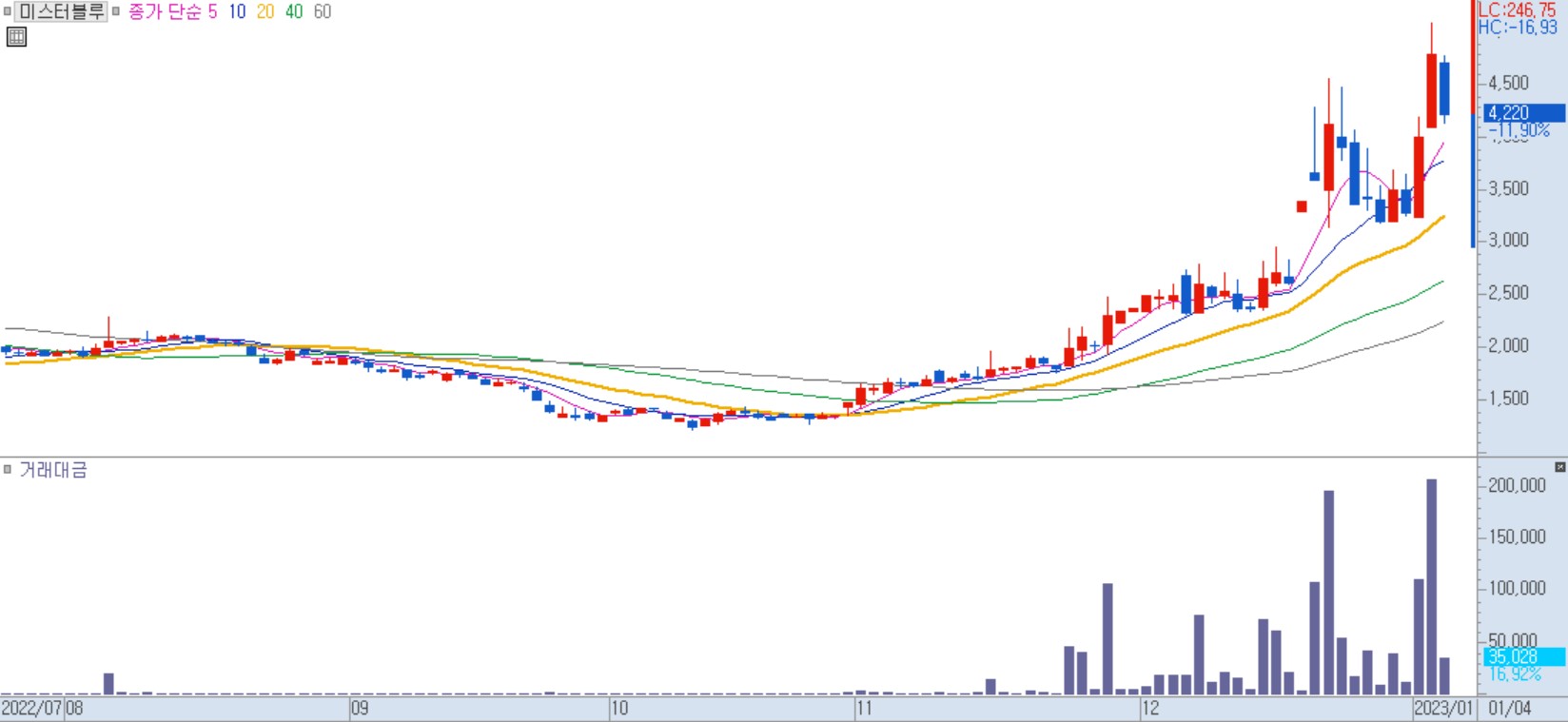 미스터블루 일봉 차트