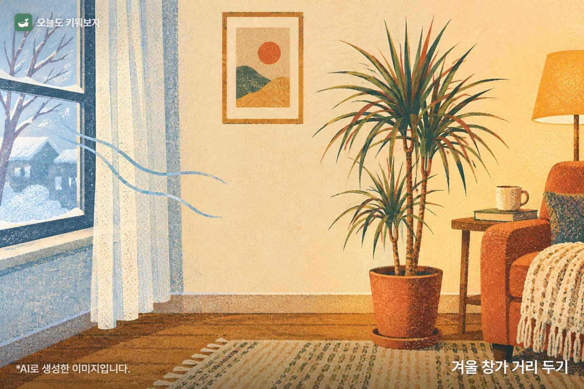 겨울 창가 거리 두기 · 찬바람이 드는 창문에서 조금 떨어진 따뜻한 거실에 드라세나 마지나타 화분을 옮겨 둔 그림 (AI로 생성한 이미지)