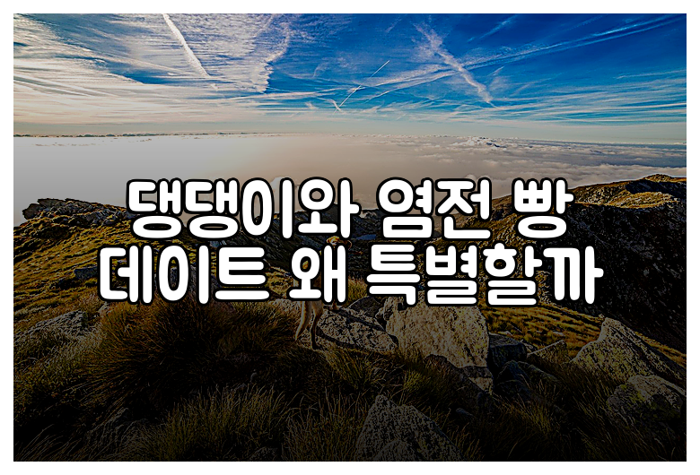 댕댕이와 염전 빵 데이트 왜 특별할까