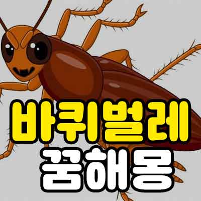 바퀴벌레 꿈해몽