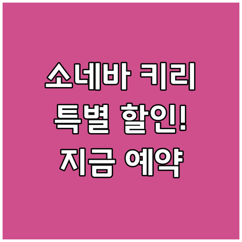 꼬꿋 코쿳 소네바 키리 특별 할인 정