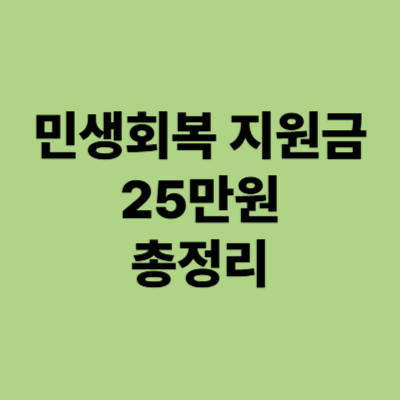 민생회복 지원금 25만원 총정리
