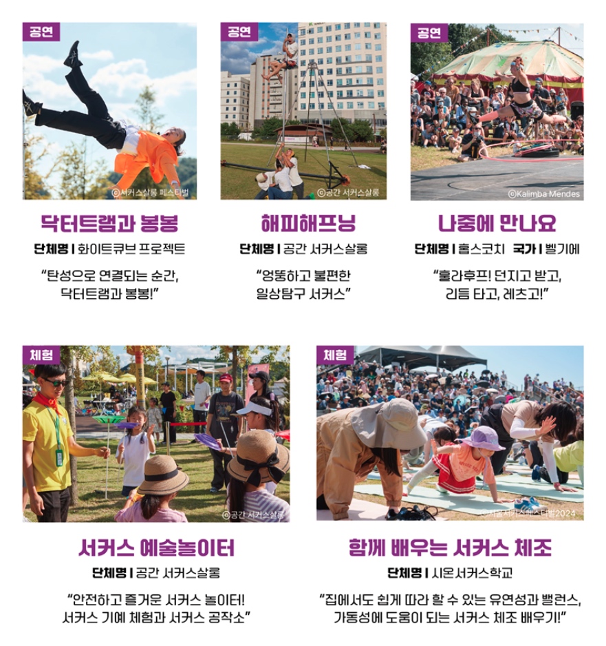 서울서커스페스티벌