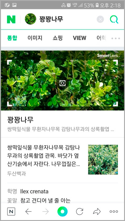 네이버 식물 검색