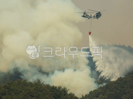 산불 진화 사진