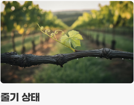 첫 단추가 중요해요, 튼튼한 모종 고르기