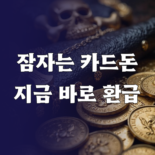 잠자고 있는 카드 환급금 조회와 현금..