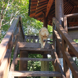 무공이