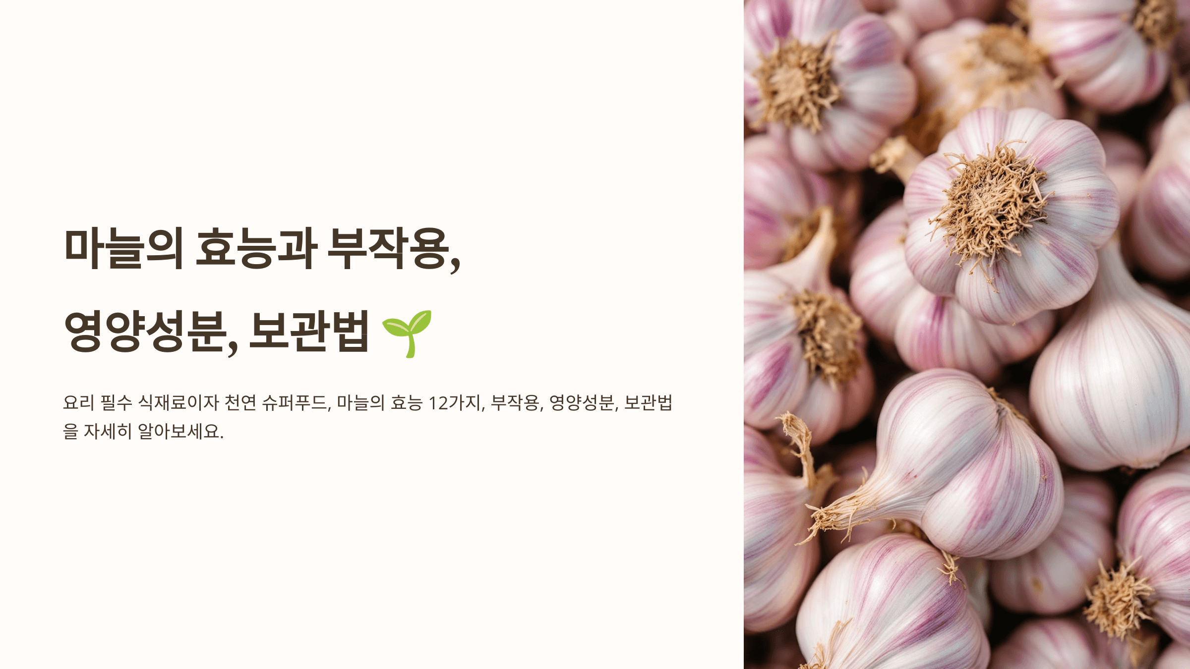 마늘 사진입니다.